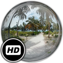 Panorama Wallpaper: Palms aplikacja