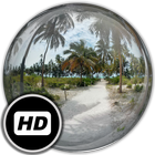 Panorama Wallpaper: Palms-icoon
