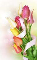 Tulipes Colorées Fond D'écran capture d'écran 2