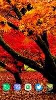 HD Colorful Tree Wallpaper 스크린샷 1