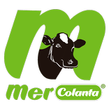 Mercolanta Online