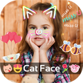 Cat Face