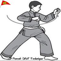 برنامه‌نما Pencak Silat Technique عکس از صفحه