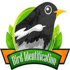 Bird Identification icon