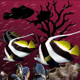 Sea Fish Farm Aquarium