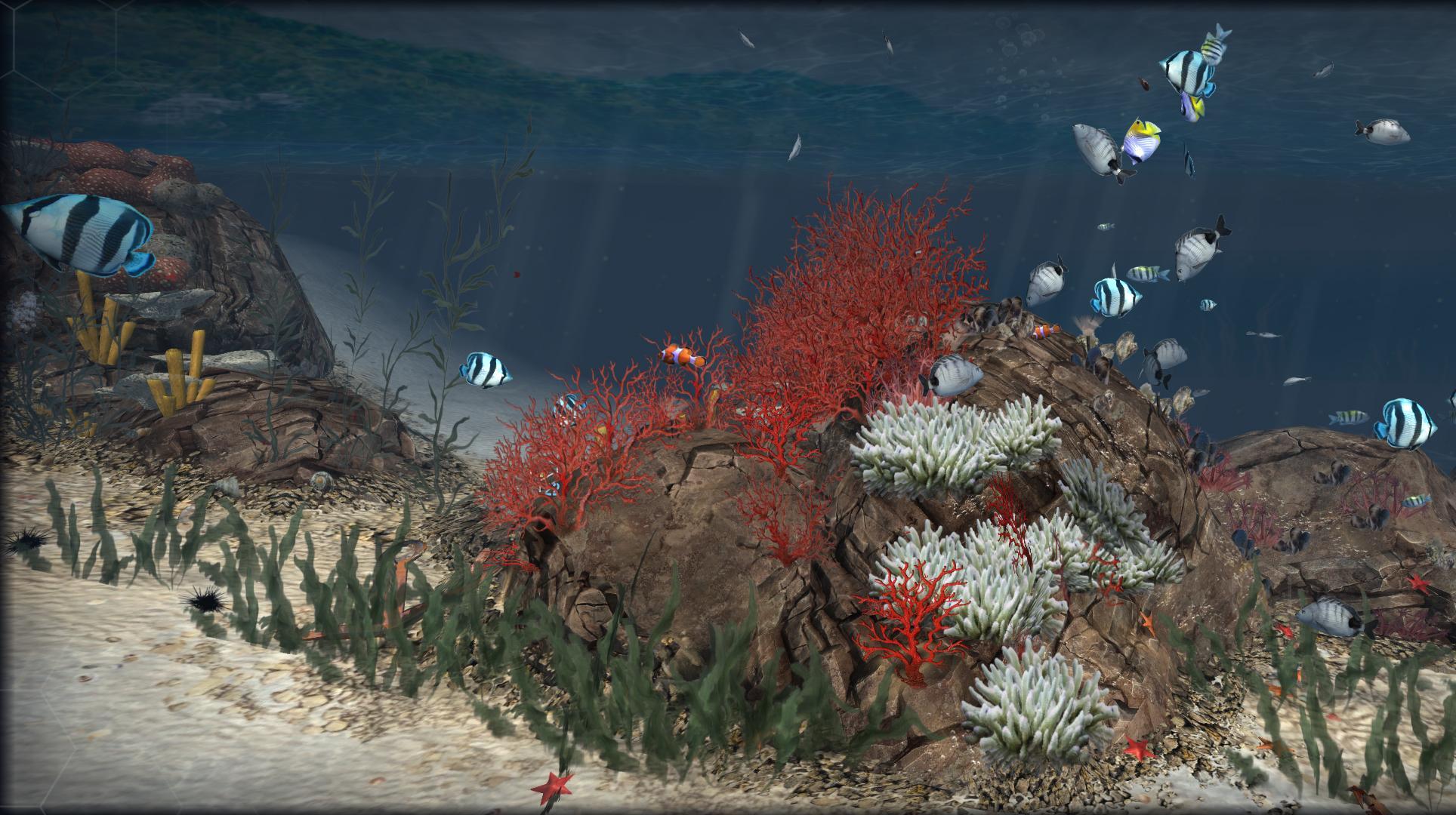 Virtual Fish And Coral Reef For Android Apk Download - roblox coral reef simulator