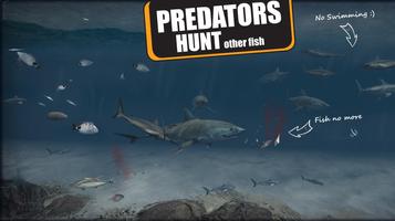 Virtual Fish and Coral Reef ảnh chụp màn hình 1