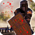 Fierce Kingdom knight