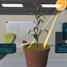 식물박사 VR 옥수수성장 icône