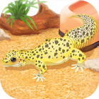 Leopard Gecko Pet icône