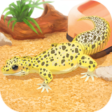Leopard Gecko Pet aplikacja