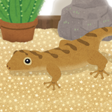 Gecko Pet APK