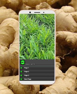 كاملة زراعة الزنجبيل For Android Apk Download