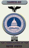 U.S Constitution + Amendments Plakat
