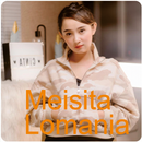 Meisita Lomania Mp3 Offline APK