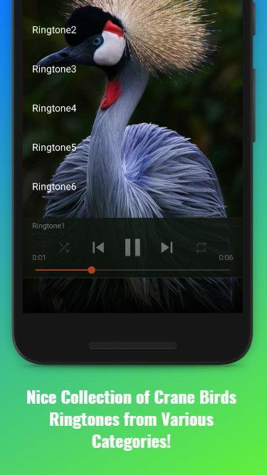 Tcl thunderbird 6 pro 2024 Tcl thunderbird 6 pro 2024