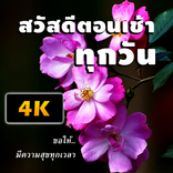 สวัสดีตอนเช้าทุกวัน