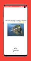 رواية سقوط طائرة مجانين poster