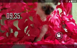 Pink Kittens Live Wallpaper screenshot 3
