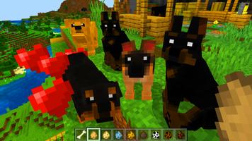 Dog pet mod gönderen