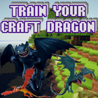 Train your Craft Dragon ícone