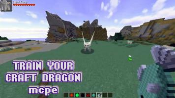 Train your Craft Dragon Cartaz