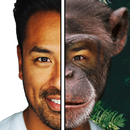 Crazy Monkey Face Filter APK