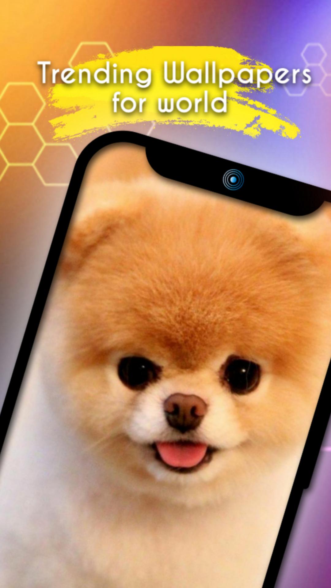 Crazy Wallpapers and Background - HD Wallpaper app APK for Android Download Crazy Wallpapers and Background - HD Wallpaper app APK for Android Download