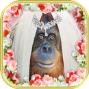 瘋狂的婚禮圖片-相框 APK