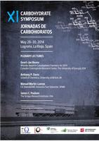 XI Jornada Carbohidratos 2014 poster