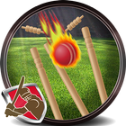 Cricket - All Practice At Home icon