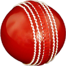Cricket All-rounder | Practice aplikacja