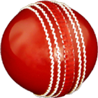 Cricket All-rounder ícone