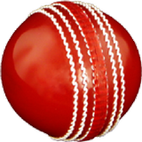 Cricket All-rounder icône