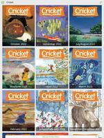 Cricket Magazine poster