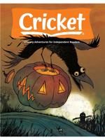 Cricket Magazine screenshot 1