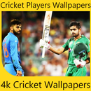 Cricket Player Wallpapers HD aplikacja