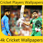 Cricket Player Wallpapers HD ไอคอน