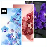Orchid Flower Wallpaper capture d'écran 1