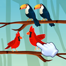 Birds Sort-APK
