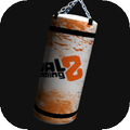 Punching Bag