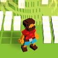 Pixel Fields