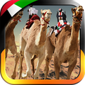 سباق الهجن
