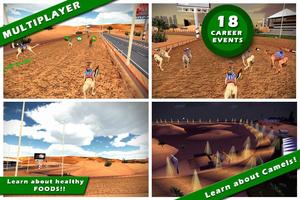 UAE Camel Racing Cartaz