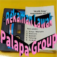 Rekaman Lawak Palapa Group screenshot 1