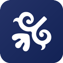 Dutchblue.com APK