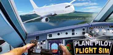 Plane Pilot Flight Simulator