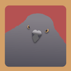 Street Pigeon APK