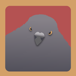 Street Pigeon