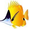 Fish Lake Fun Live Wallpaper APK